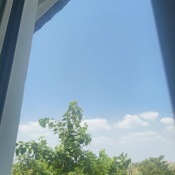 chat looking for friends 