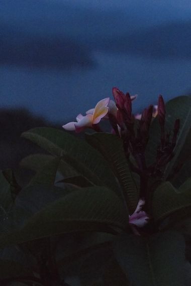 แชท หาเพื่อนคุย, หาเพื่อนเที่ยว 