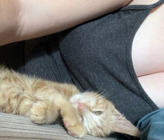chat chat 