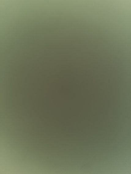 chat looking for friends 