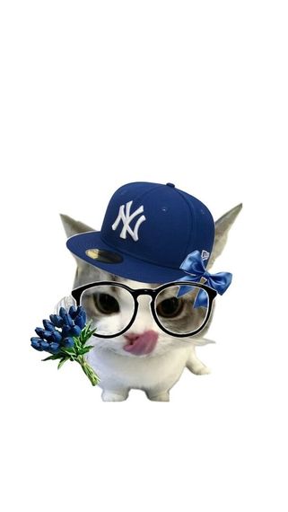 chat looking for friends 