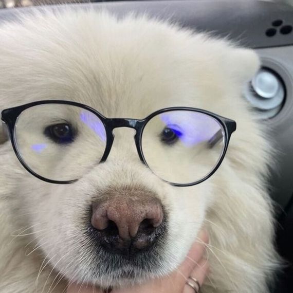 chat looking for friends 