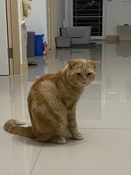 chat looking for friends 