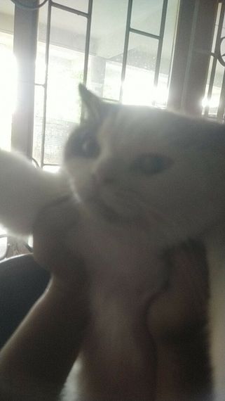 chat looking for friends 