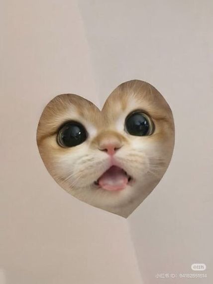 chat looking for friends 