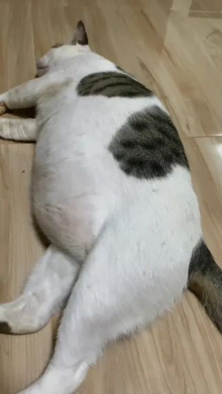 chat looking for friends