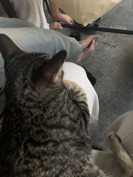 chat looking for friends 