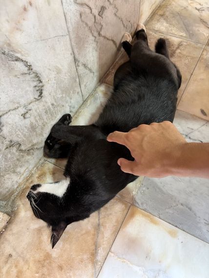 แชท หาเพื่อนคุย  ที่อยู่ กรุงเทพมหานคร