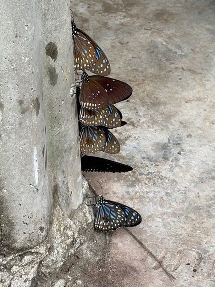 แชท หาเพื่อนคุย  ที่อยู่  สมุทรปราการ