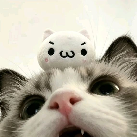 แชท หาเพื่อนคุย  ที่อยู่ กรุงเทพมหานคร