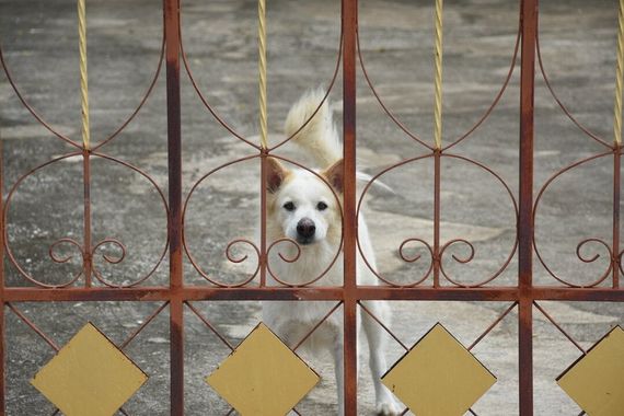 chat looking for friends  from Bangkok