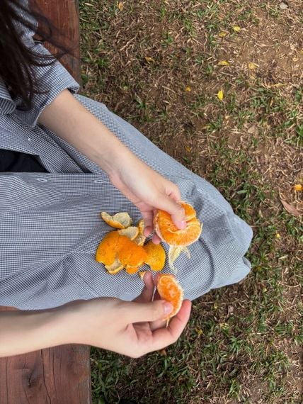 แชท หาเพื่อนคุย ที่อยู่ เบอร์มิวดา