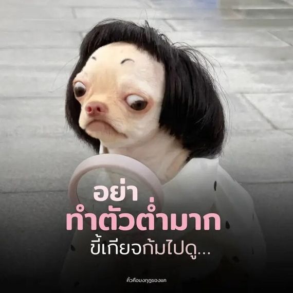 chat looking for friends