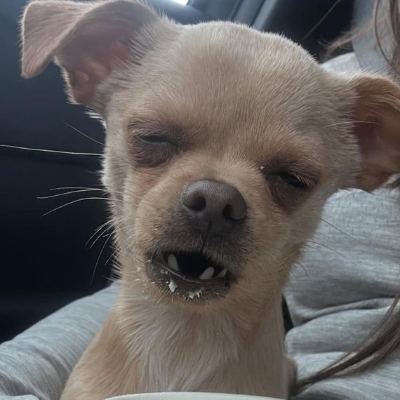 แชท หาเพื่อนคุย, หาเพื่อนเที่ยว ที่อยู่ กรุงเทพมหานคร