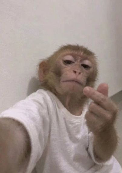 แชท หาเพื่อนคุย, หาเพื่อนเที่ยว ที่อยู่ กรุงเทพมหานคร