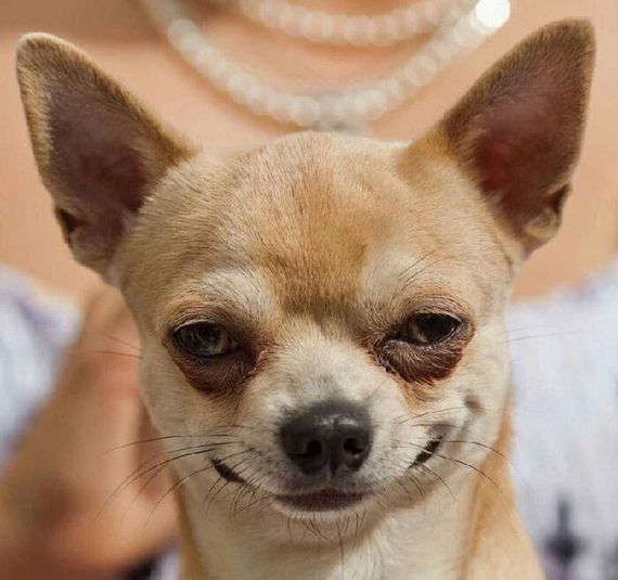 แชท หาเพื่อนคุย, หาเพื่อนเที่ยว  ที่อยู่ กรุงเทพมหานคร