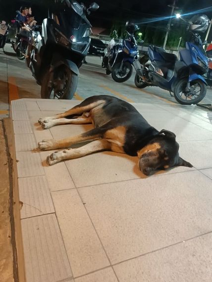 แชท แชทสมมุติ ที่อยู่ ปทุมธานี