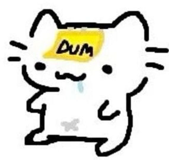 chat looking for friends 