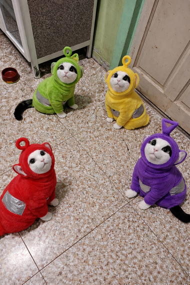 แชท นัดเดท 