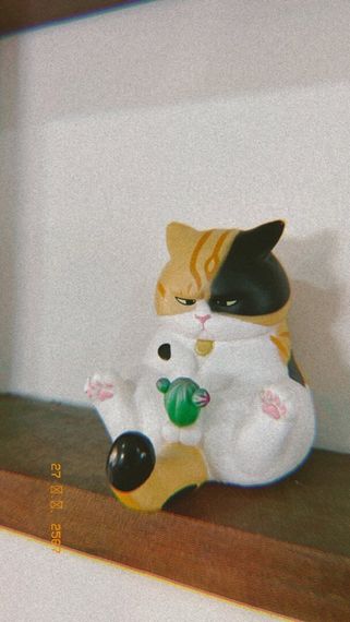 แชท หาเพื่อนคุย  ที่อยู่ กรุงเทพมหานคร
