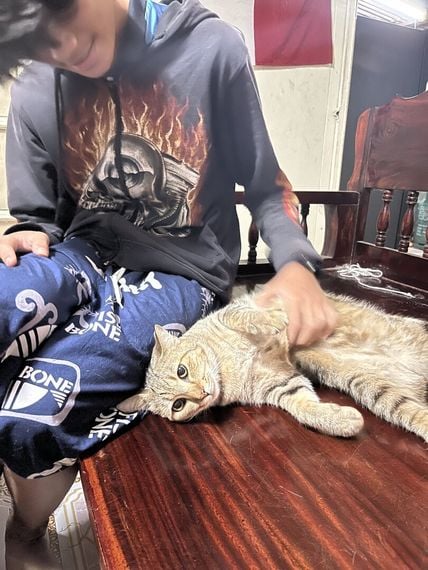 แชท หาเพื่อนคุย 