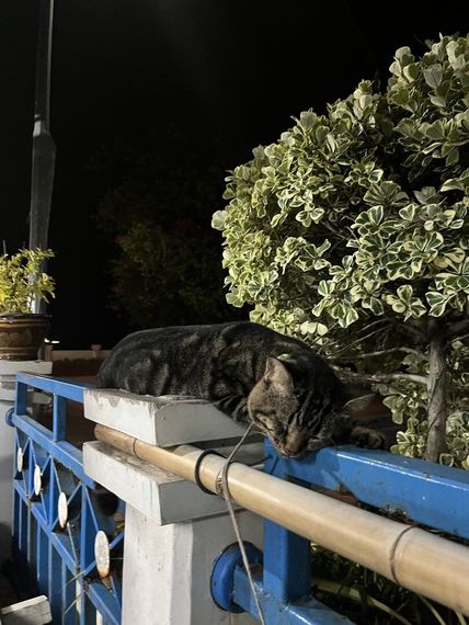 chat looking for friends  from Samut Prakarn