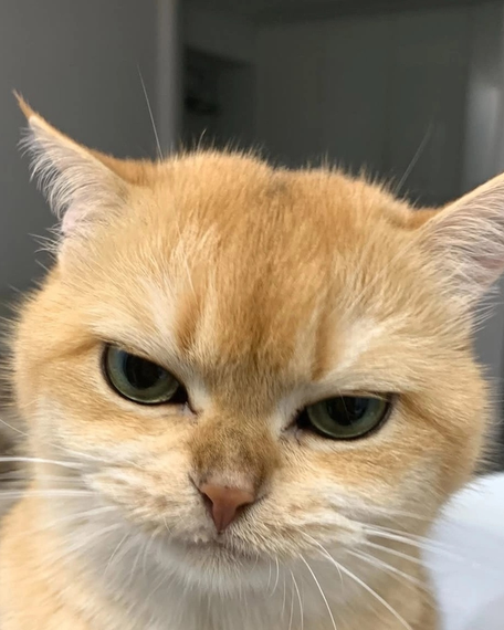 chat looking for friends 