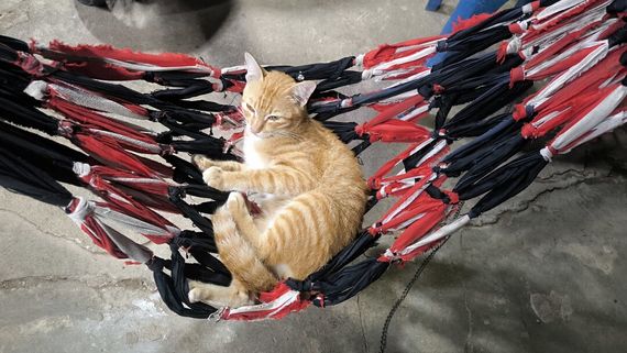 chat find love, single  from Kanchanaburi