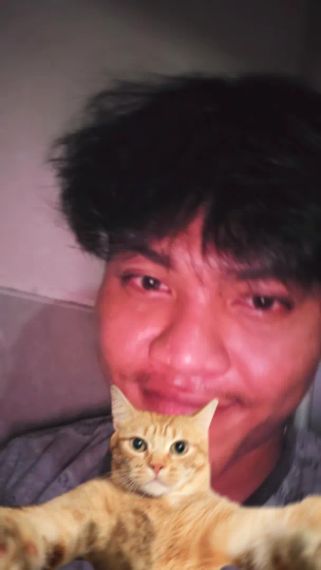 chat looking for friends 