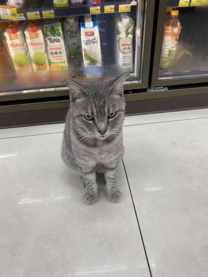 chat looking for friends 