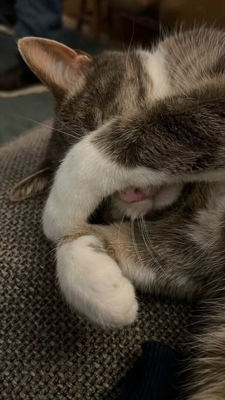 chat looking for friends  from Chiang Mai