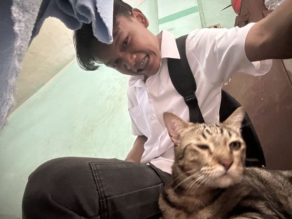 chat looking for friends 