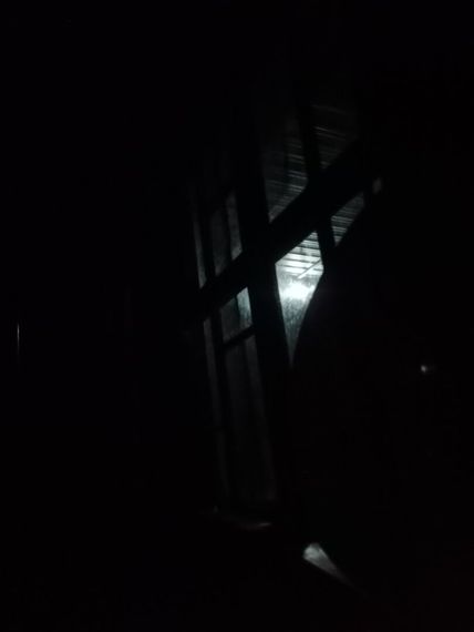 chat looking for friends 