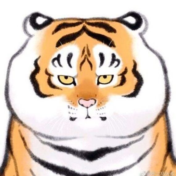 chat looking for friends 