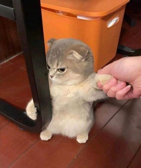 แชท หาเพื่อนคุย ที่อยู่ ปทุมธานี
