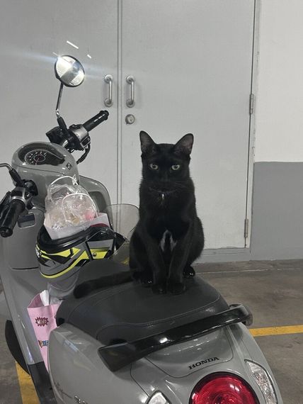 chat looking for friends from Bangkok