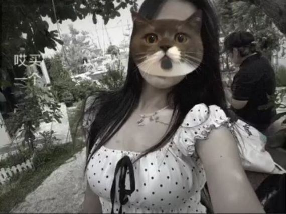 chat camera chat