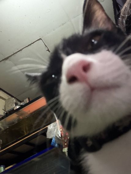 chat chat, camera chat  from Bangkok