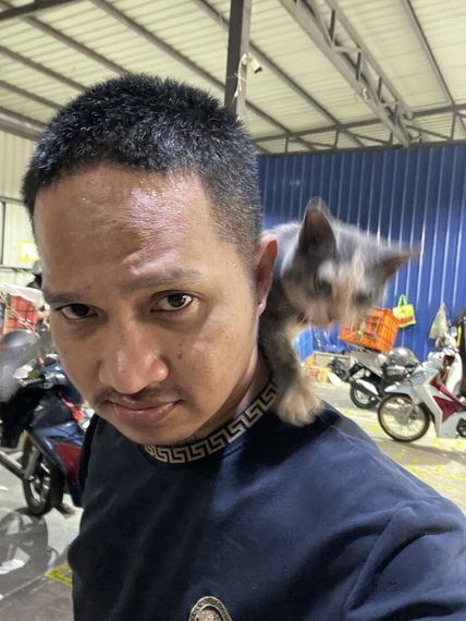 chat looking for friends 