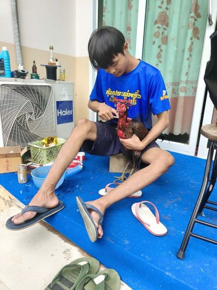 แชท หาเพื่อนคุย 