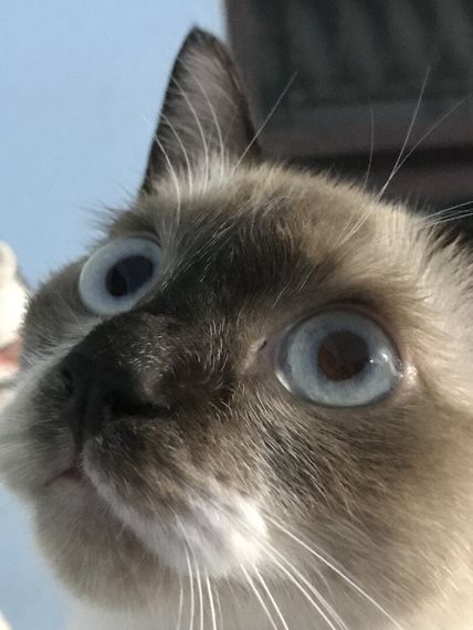 แชท หาเพื่อนคุย ที่อยู่ ปทุมธานี