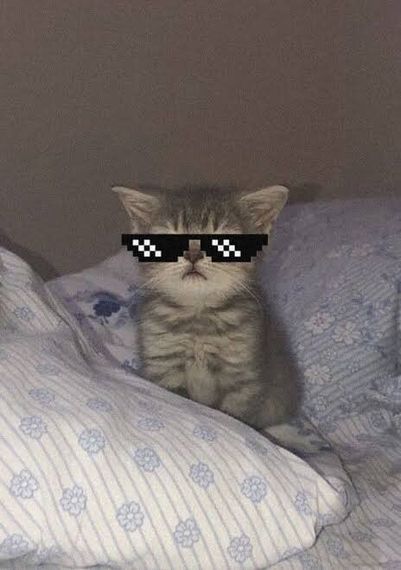 chat looking for friends 