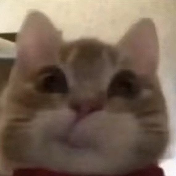 chat date  from Pathum Thani
