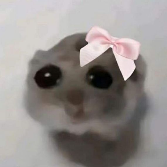 แชท หาเพื่อนคุย  ที่อยู่  สมุทรปราการ