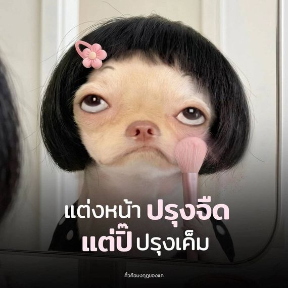 chat looking for friends 
