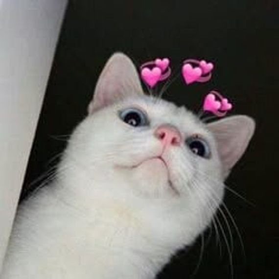 chat chat, date 