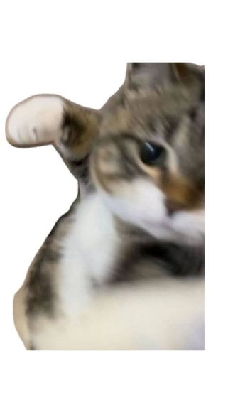 แชท หาเพื่อนคุย  ที่อยู่  กำแพงเพชร