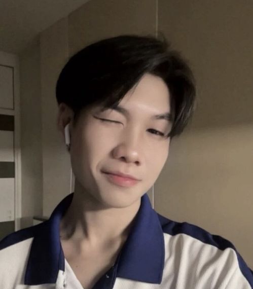 แชท หาเพื่อนคุย, แชทเปิดกล้อง