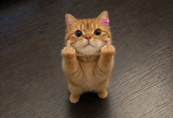 แชท นัดเดท  ที่อยู่ กรุงเทพมหานคร
