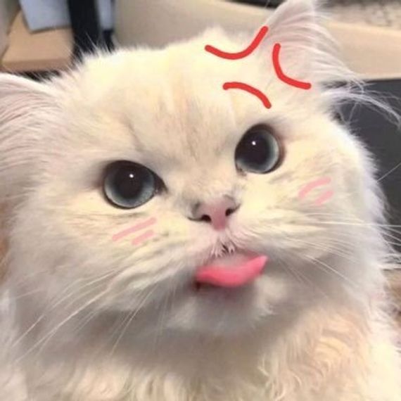 chat looking for friends